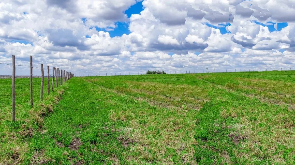 KITENGELA MILIMANI PHASE 3 slide 1