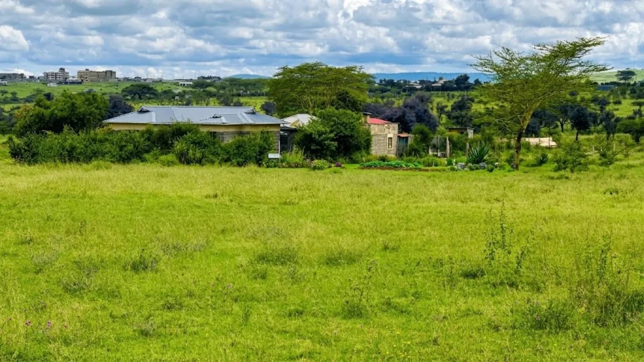 MALILI BREEZE, KONZA slide 1