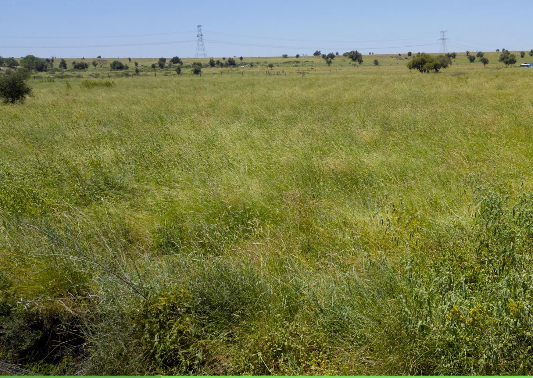 Raw Land Investing