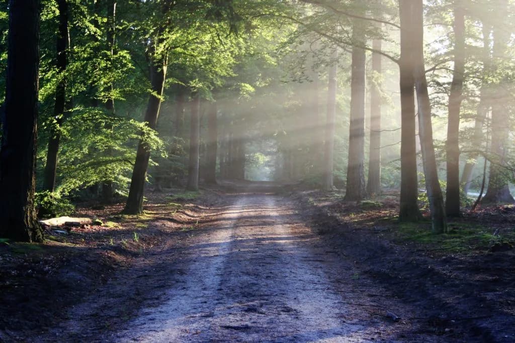 LAND BUYING CHECKLIST- DUE DILIGENCE